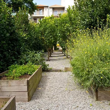 Apartment Boutique Rentals- Hidden Garden Porto's Downtown