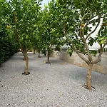 Boutique Rentals- Hidden Garden Porto's Downtown *