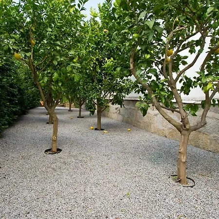 Boutique Rentals- Hidden Garden Porto's Downtown *