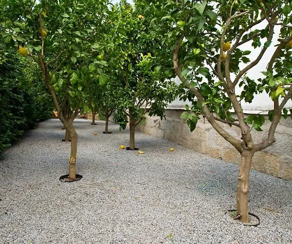 Boutique Rentals- Hidden Garden Porto's Downtown *